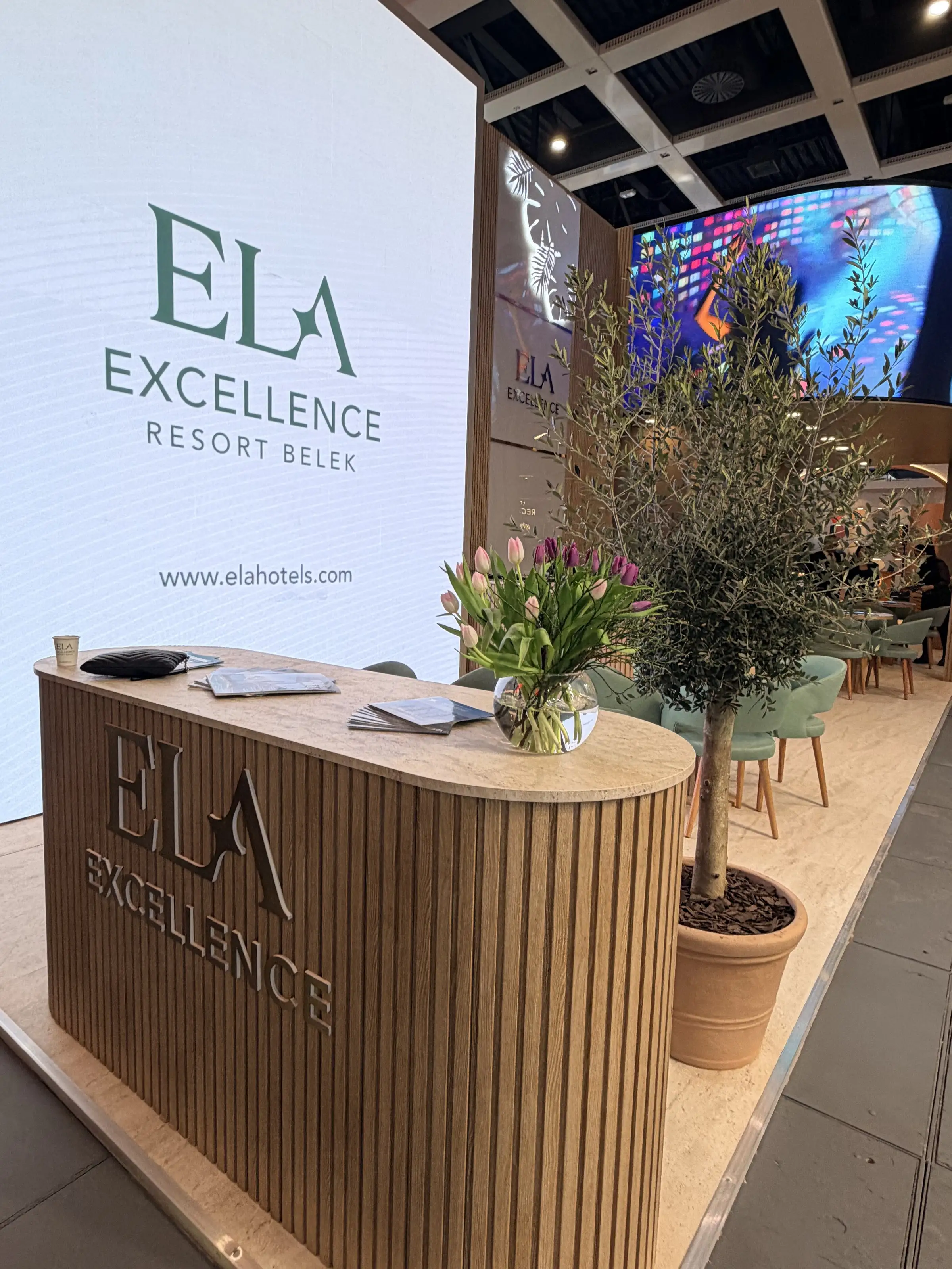 Ela Excellence projesinden detay 6